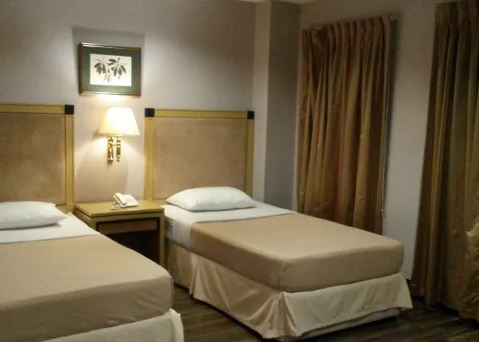 ホテル Windy Ridge Malate 3*